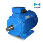 MARELLI A4C2242D00016 الکتروموتور سه فاز