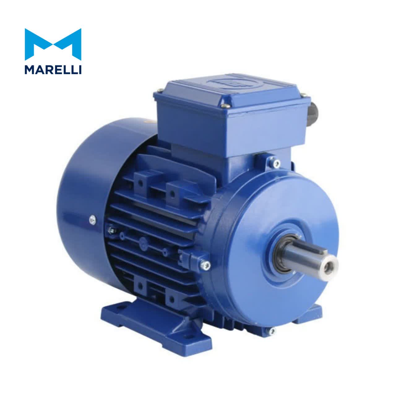 MARELLI MAQ90L6 B3 MARELLI MAQ90L6 B3 موتور سه فاز القایی